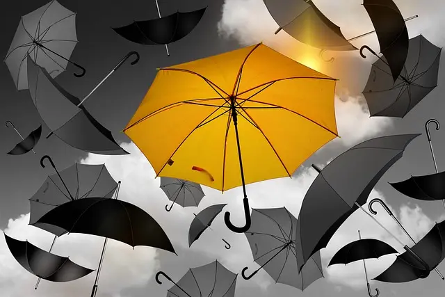 Guide Pratique pour Dénicher des Habits Accessibles en Ligne